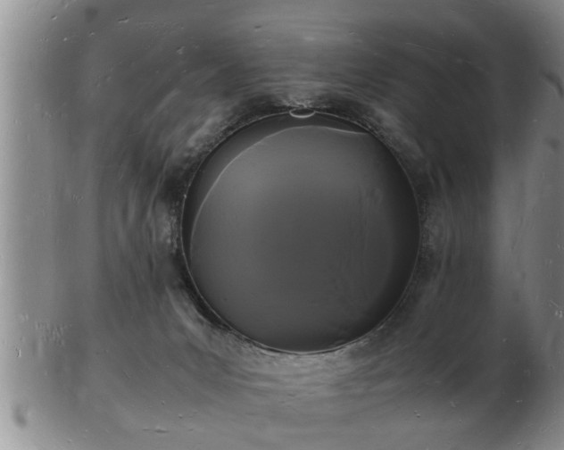 X0000103290031200809051510