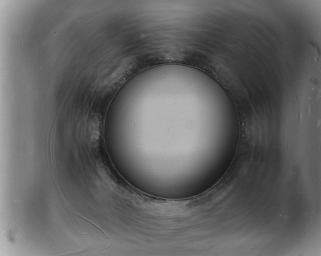 X0000103290032200809051510