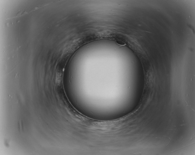 X0000103290033200809051510