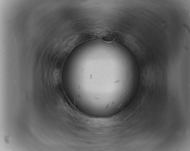 X0000103290034200809051510