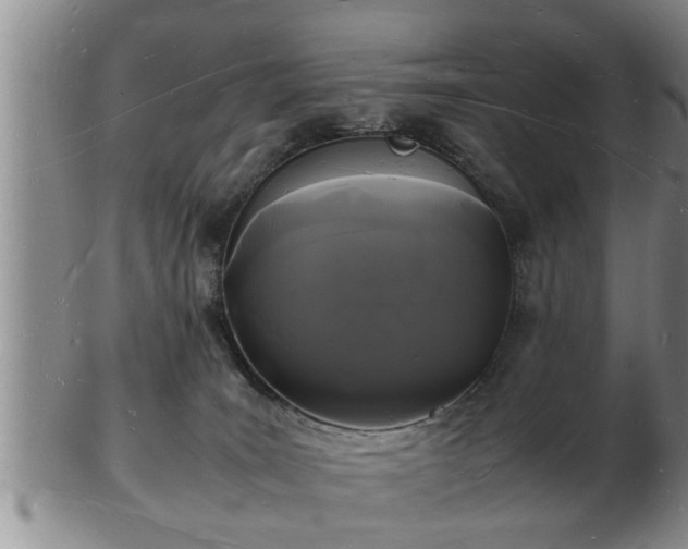 X0000103290035200809051510