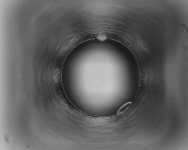 X0000103290036200809051510