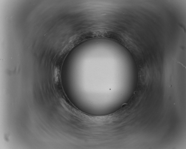 X0000103290038200809051510