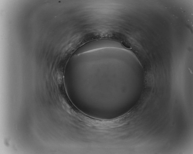 X0000103290039200809051510