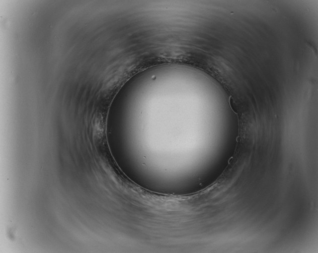 X0000103290040200809051510