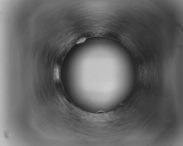 X0000103290042200809051509