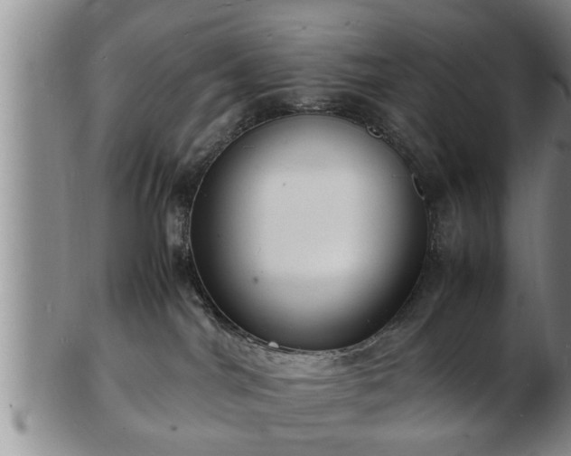 X0000103290044200809051509