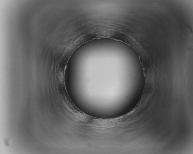 X0000103290045200809051509