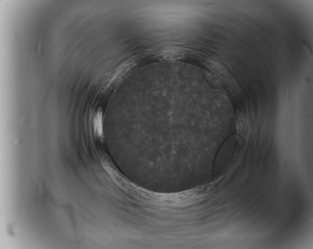 X0000103290046200809051509