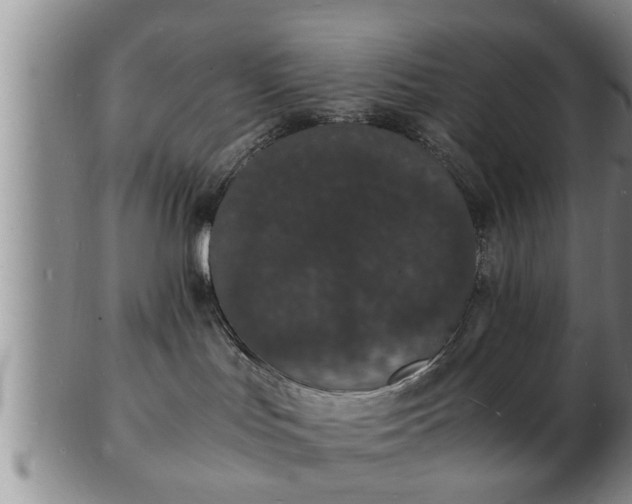 X0000103290047200809051509