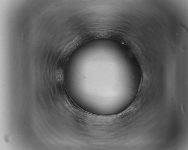 X0000103290048200809051509