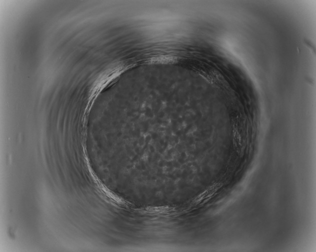 X0000103290049200809051509