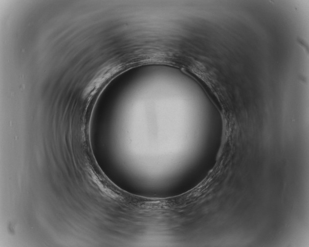 X0000103290050200809051509