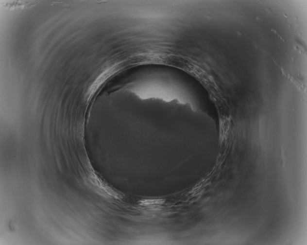 X0000103290051200809051509