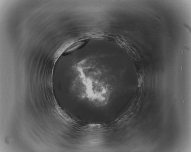 X0000103290052200809051509