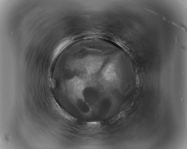 X0000103290053200809051509