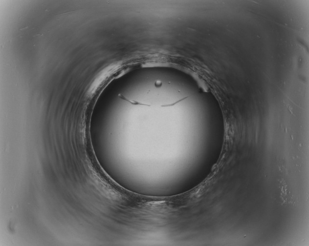 X0000103290054200809051509