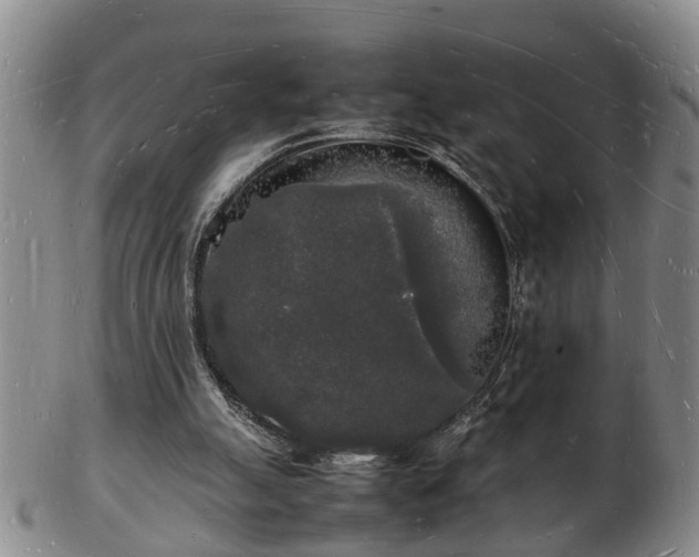 X0000103290055200809051509