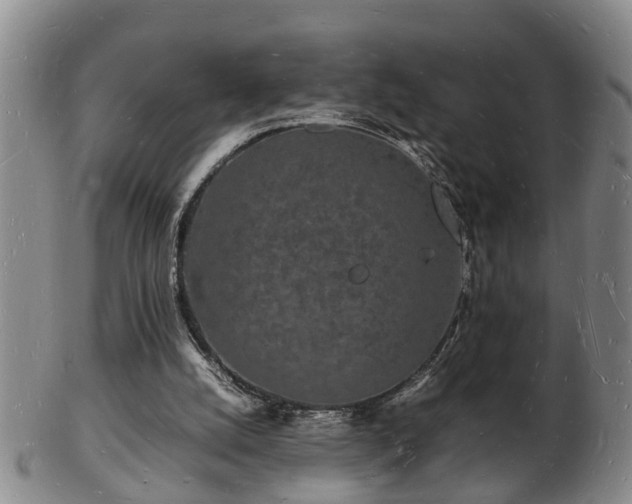 X0000103290056200809051509