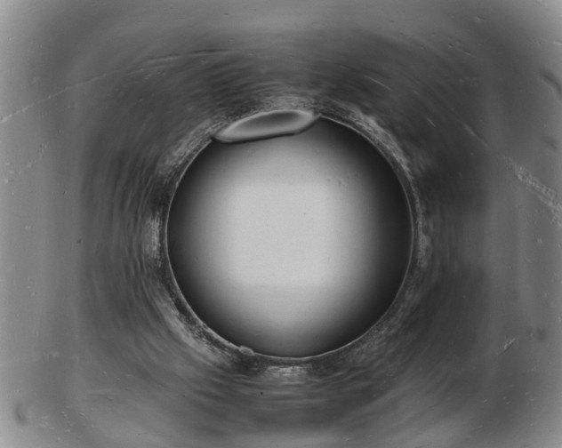 X0000103290057200809051509