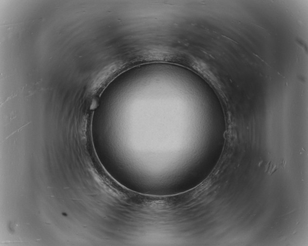 X0000103290058200809051509