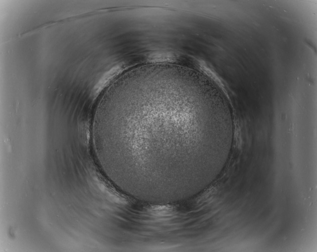 X0000103290059200809051509