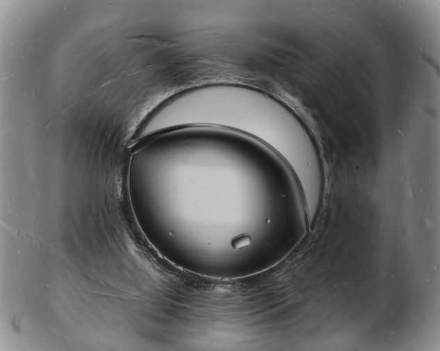 X0000103290060200809051509