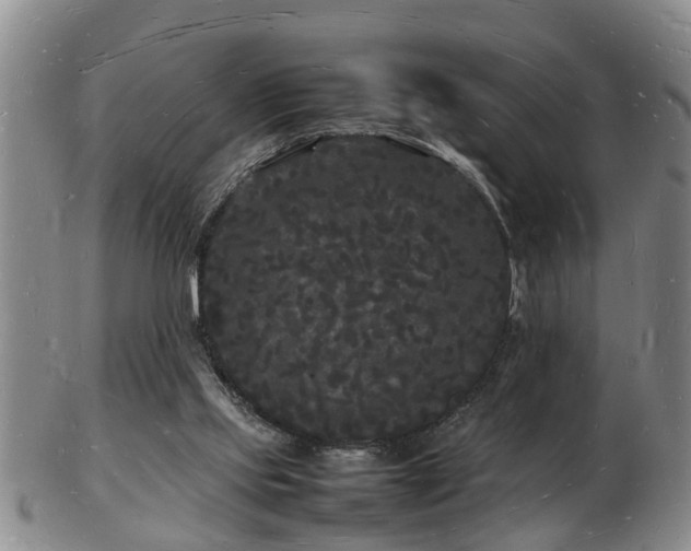 X0000103290061200809051509