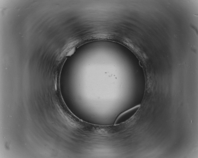 X0000103290062200809051509