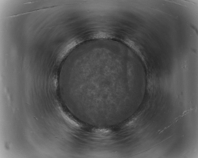 X0000103290063200809051509