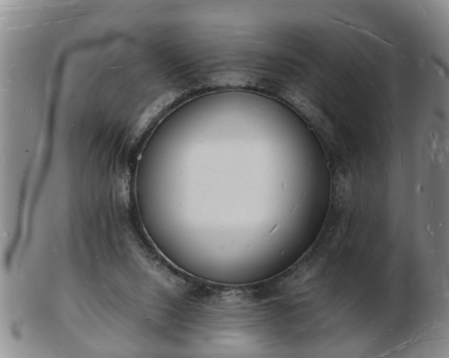 X0000103290064200809051509