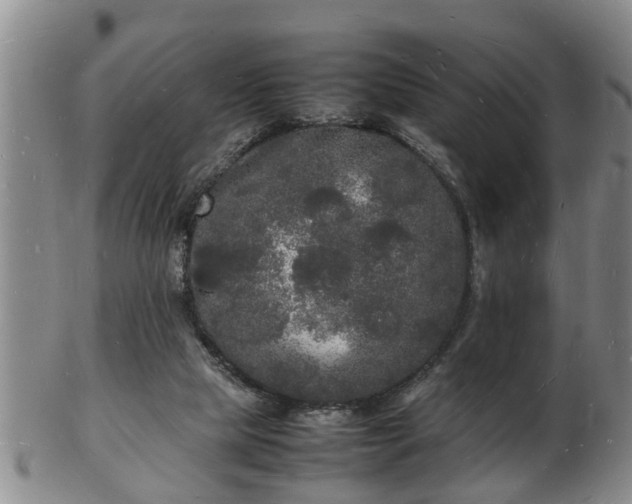 X0000103290065200809051509