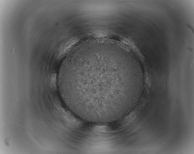 X0000103290066200809051509