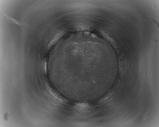 X0000103290067200809051509