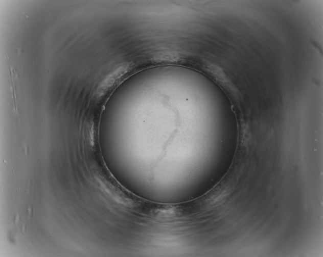 X0000103290068200809051509