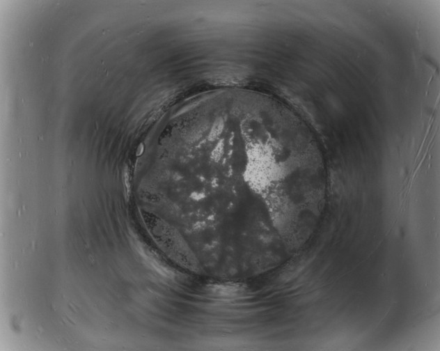 X0000103290069200809051509