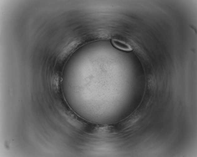 X0000103290072200809051509