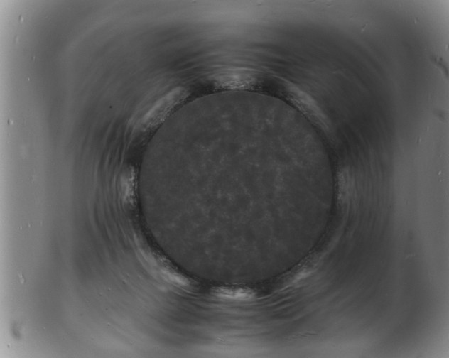 X0000103290073200809051509