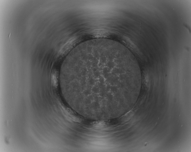 X0000103290074200809051509