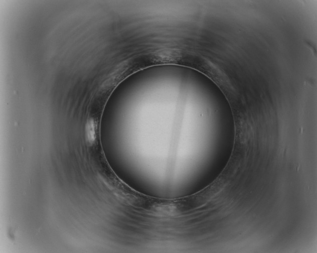 X0000103290075200809051509