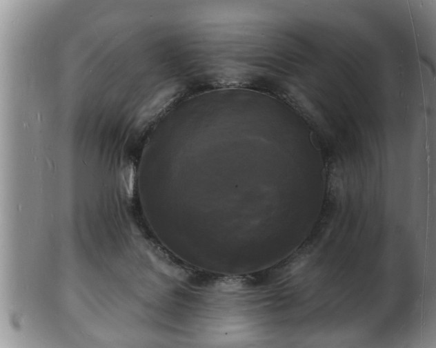 X0000103290076200809051509