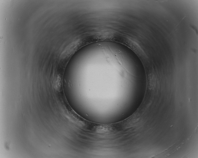 X0000103290077200809051509