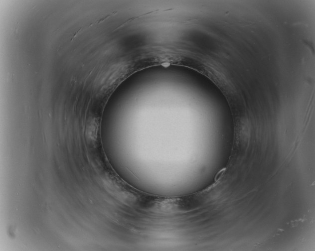 X0000103290078200809051509