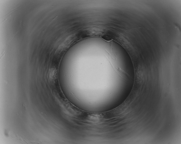 X0000103290079200809051509