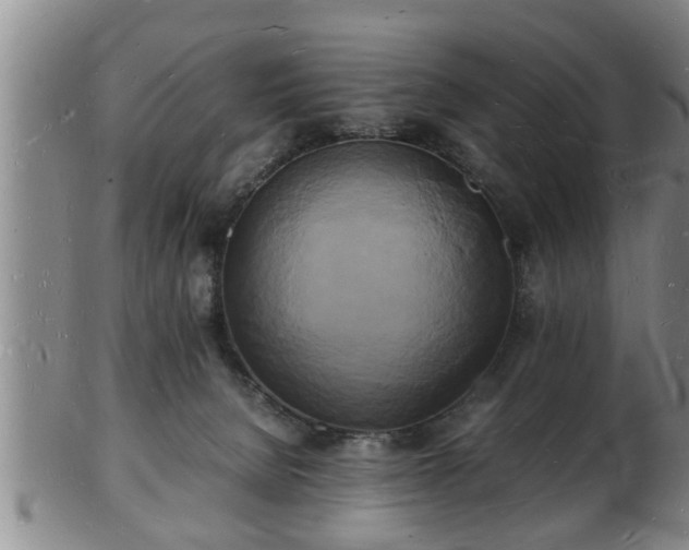 X0000103290080200809051509