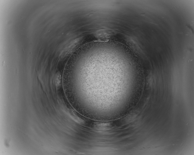 X0000103290081200809051509