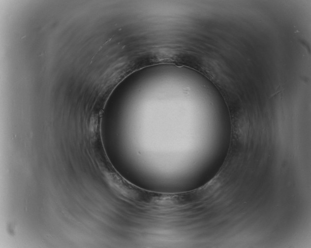 X0000103290082200809051509