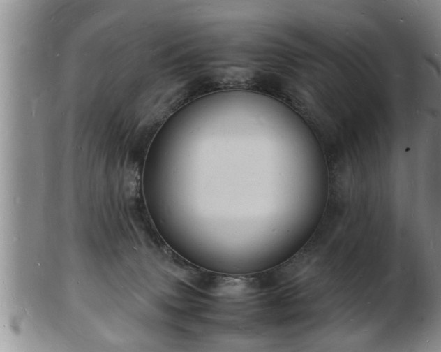 X0000103290083200809051509