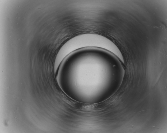 X0000103290084200809051509