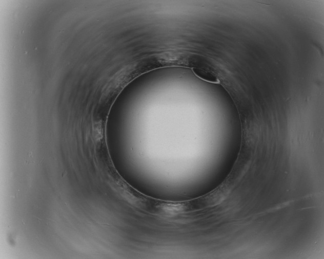 X0000103290085200809051509